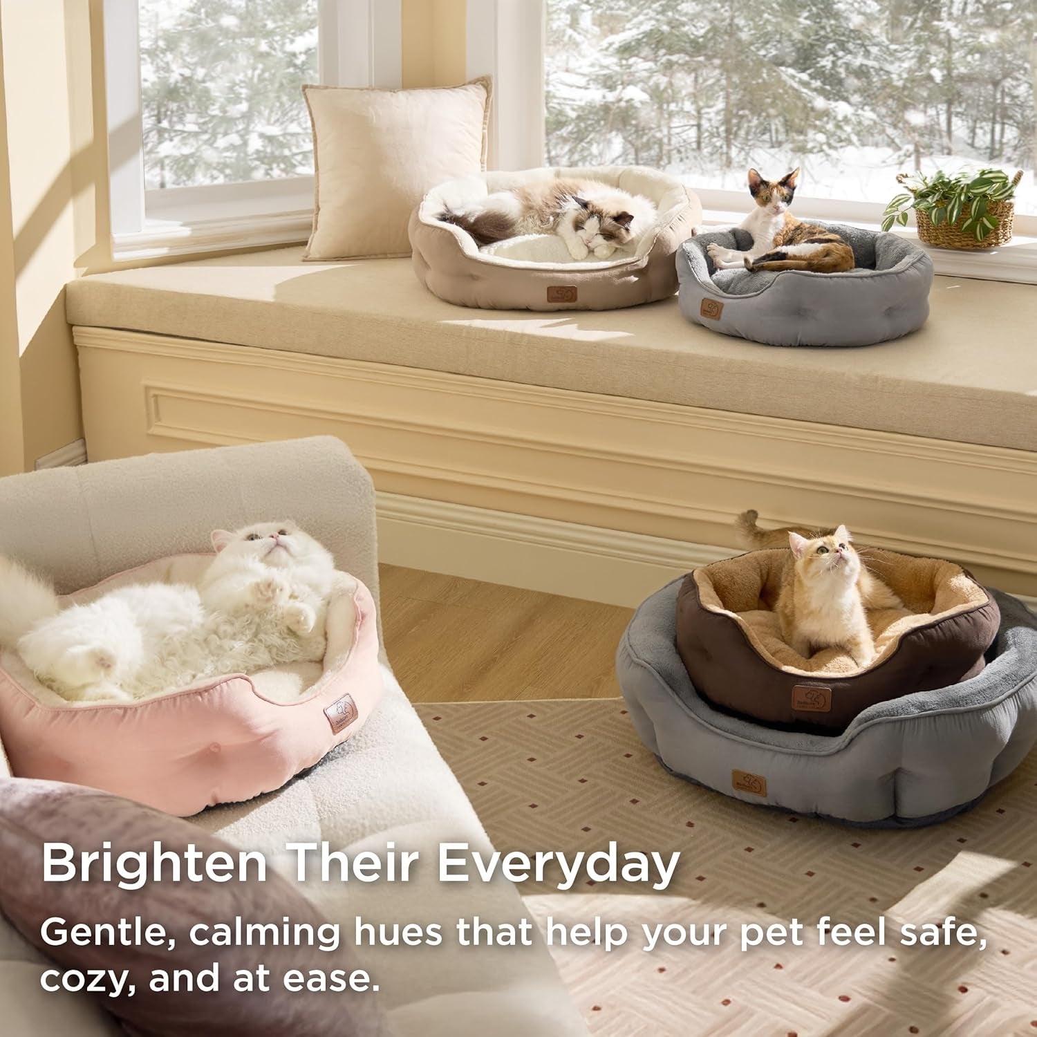 Bedsure Small Dog Bed Washable,Round Cat Beds for Indoor Cats,20In Camel | Soft Plush Pet Bed,Dog Beds for Small Dogs for Puppy and Kittens,Anti-Slip Bottom,Easy to Clean