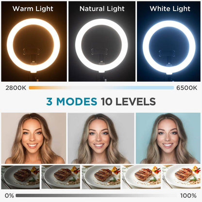 Overhead Phone Mount with Ring Light, 10 In. LED Selfie Ring Light for Desk W/ Phone Holder and Remote Canvas Lamp Light