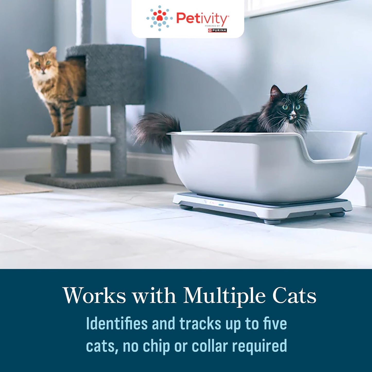 Purina  Smart Litter Box Monitor Cat Weight Scale & Health Tracker - Monitor Litter Habits, Track Weight Accurately, AI Alerts & Monthly Reports, Phone App, Works for Multiple Cats